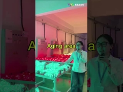 شاشة الشبكة