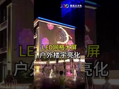 داخلية P100 مرنة LED شبكة شاشة عرض LED نور نقطة شفافة